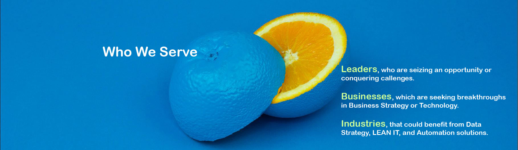 We deliver tailored IT solutions and business consultancy services